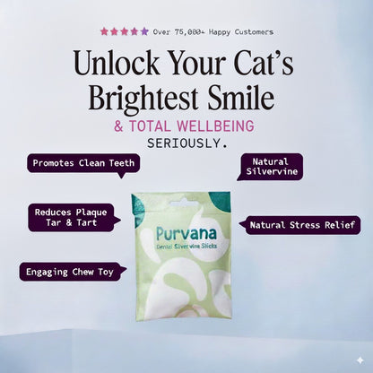Purvana™| Silvervine Sticks