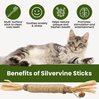 Purvana™| Silvervine Sticks
