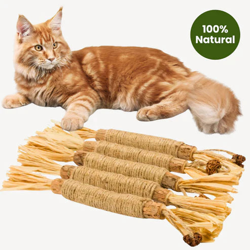 Purvana™| Silvervine Sticks